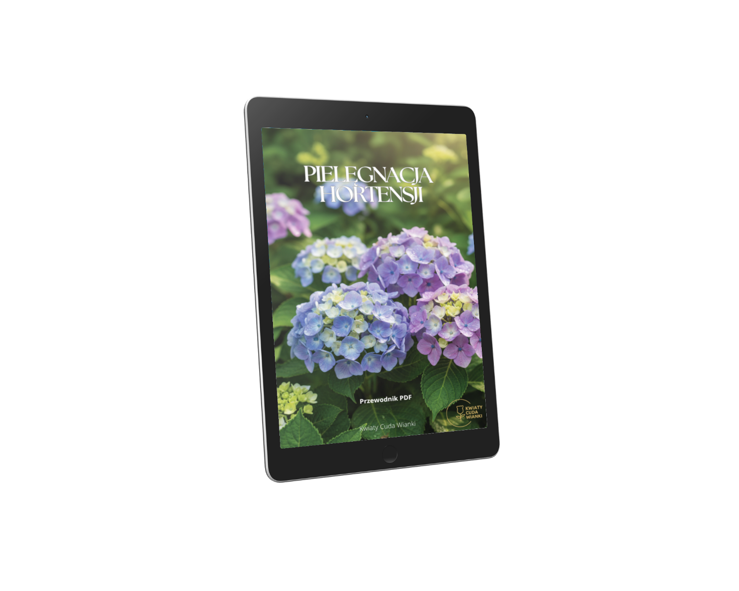 Pielęgnacja Hortensji - Poradnik PDF